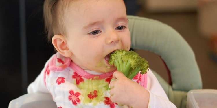 Brokoli Salah Satu Buah dan Sayur Berbahaya untuk Dijadikan MPASI, Benarkah?
