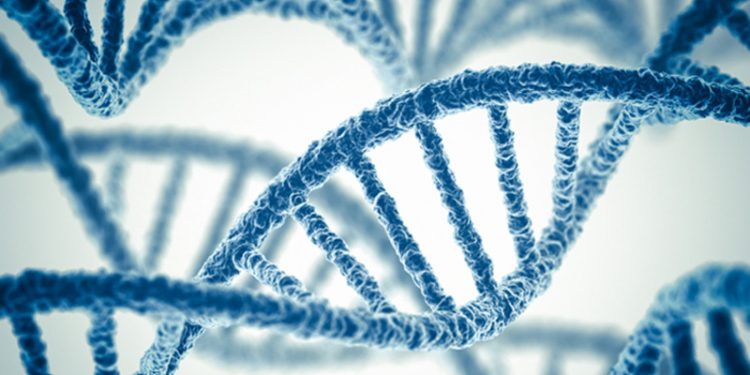 Kelainan Genetik, Salah Satu Penyebab Anak Hiperaktif!