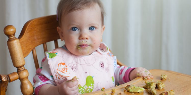 Hati-Hati! Ini Bahaya Metode Baby Led Weaning Bagi Si Kecil!