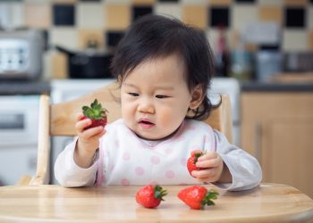 Jadwal Makan Si Kecil