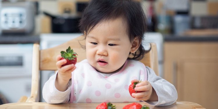 Jadwal Makan Si Kecil