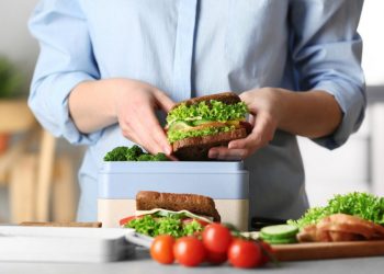 Persiapan makanan sehat mudik