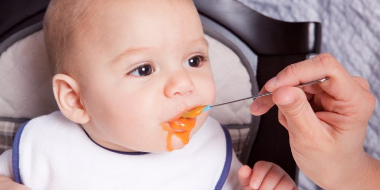 menu mpasi 6 bulan pertama