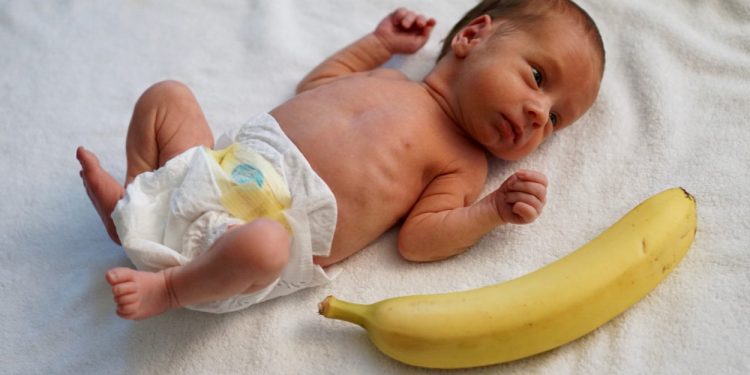 Si Kecil Susah Gemuk? Yuk, Pantau Asupan Gizinya