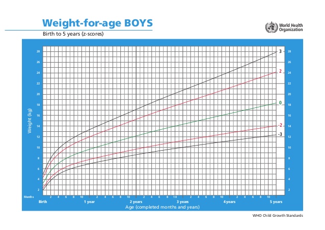 Tabel berat badan anak usia 1-5 tahun menurut who