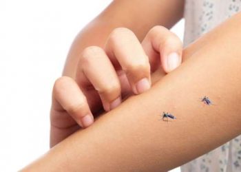 Pertolongan Pertama Gejala Demam Berdarah di Rumah