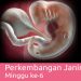 Perkembangan Kehamilan 6 Minggu
