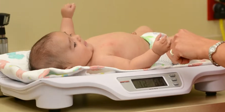 cara-agar-bayi-cepat-gemuk