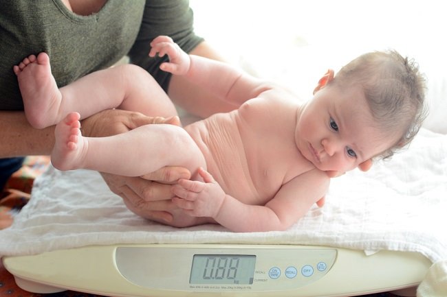 7 Tips Agar Bayi Cepat Gemuk Dalam Waktu Singkat Mamapapa Id
