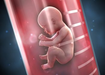 Hendak Melakukan Bayi Tabung? Penting Ketahui Ini Mampaps!