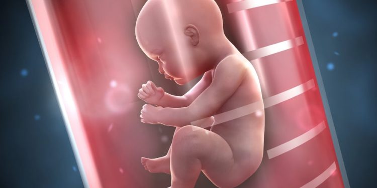 Hendak Melakukan Bayi Tabung? Penting Ketahui Ini Mampaps!