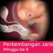 Perkembangan Kehamilan Usia 9 Minggu