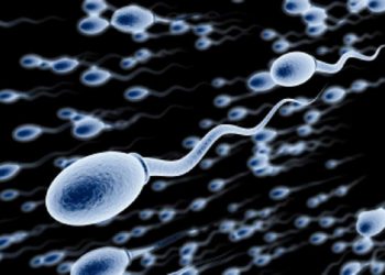 bentuk sperma yang sehat