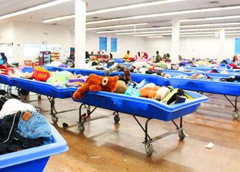 tips membeli barang bekas