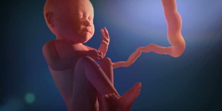 Waspada Plasenta Previa, Ketahui Lebih Dulu Yuk!