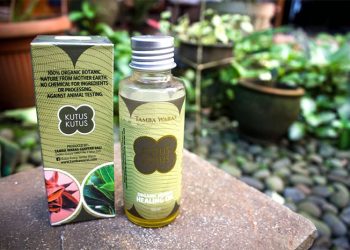 Review Minyak Kutus-Kutus: Sembuhkan Berbagai Penyakit?