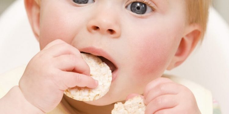 Homemade Biskuit MPASI Bayi yang Mudah dan Enak