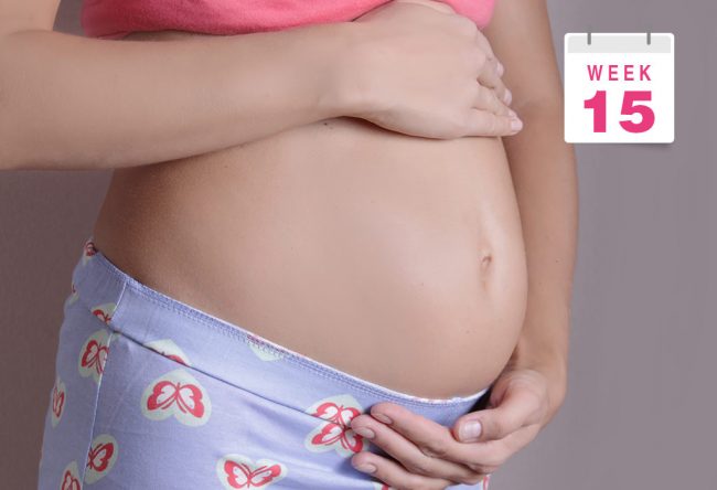 bentuk perut hamil 15 minggu