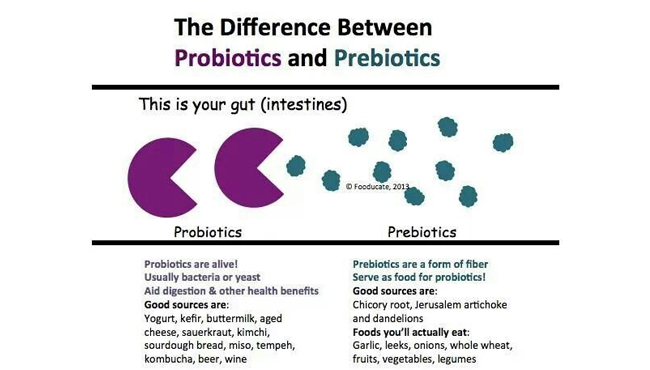 probiotik dan prebiotik