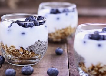 perbedaan probiotik dengan prebiotik