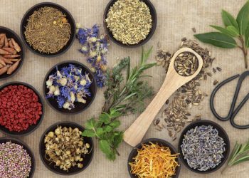 Pengobatan Naturopati yang Alami, Hidup Sehat Tanpa Obat!