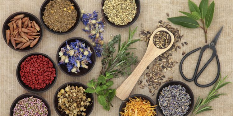 Pengobatan Naturopati yang Alami, Hidup Sehat Tanpa Obat!