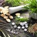 Naturopati untuk Menjaga Imun Keluarga Saat Pandemi