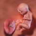 Perkembangan Janin 29 Minggu, Si Kecil Semakin Aktif!