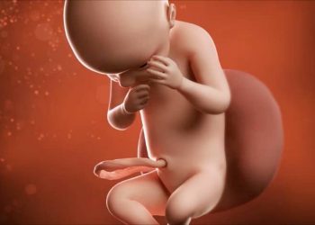 Semakin Menakjubkan! Ini Perkembangan Janin 30 Minggu