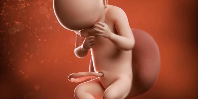 Semakin Menakjubkan! Ini Perkembangan Janin 30 Minggu