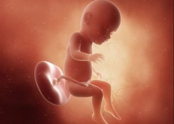 Bayi Cegukan Tanda Perkembangan Janin 31 Minggu