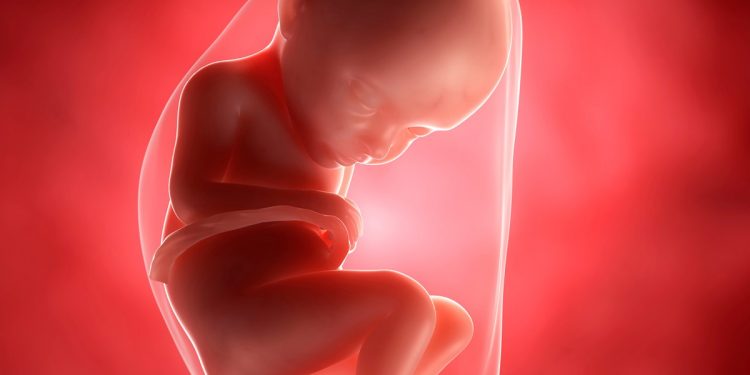 Otak Bayi pada Perkembangan Janin 32 Minggu Semakin Baik