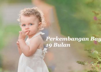 perkembangan anak 19 bulan