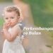 perkembangan anak 19 bulan