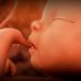 Perkembangan Janin 34 Minggu