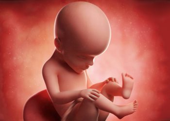 perkembangan bayi 27 minggu