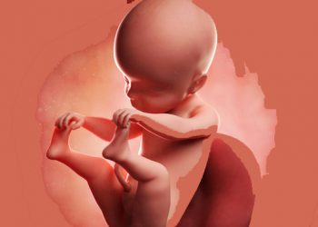 perkejanin 21 minggu