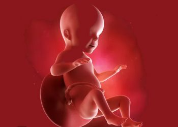 Ma, Ini Perkembangan Kehamilan Minggu ke-26