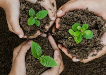 Hobi Bercocok Tanam Saat Pandemi, Ini Rekomendasinya!