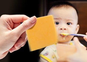 keju untuk bayi