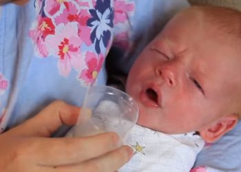 perbandingan susu formula bayi terbaik