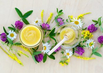 Manfaat Clover Honey untuk Kesehatan Anak