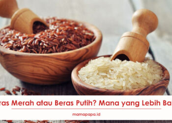 Beras Merah vs Beras Putih? Mana yang Lebih Baik?