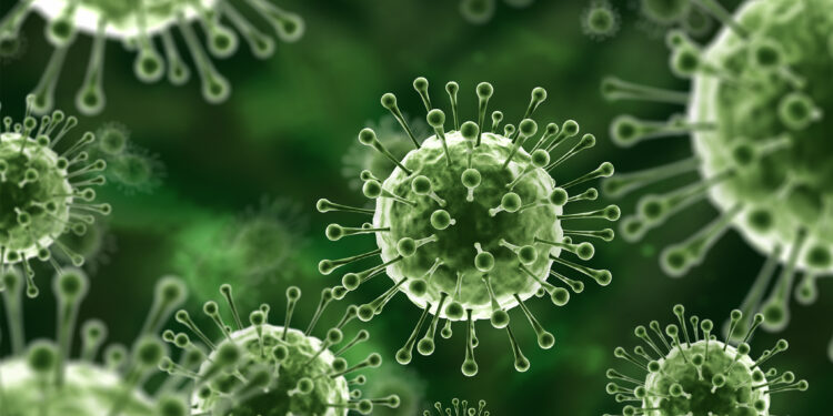 Waspada Virus Nipah yang Lebih Mematikan dari Covid-19!