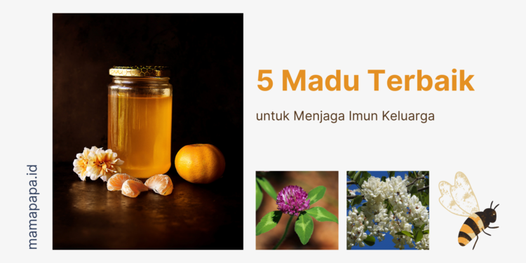 5 Madu Terbaik untuk Menjaga Imun Keluarga