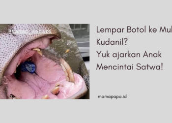 lembar botol ke kudanil