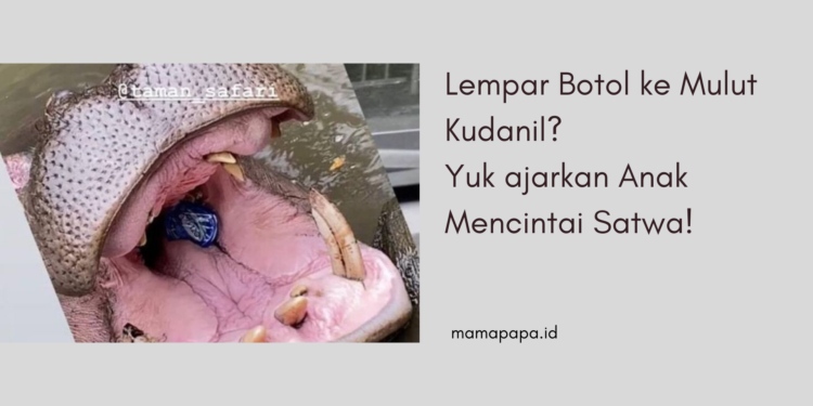 lembar botol ke kudanil