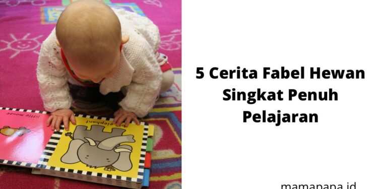 5 Cerita Fabel Hewan Singkat Penuh Pelajaran