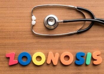 Penyakit Zoonosis Kala Pandemi di Musim Penghujan