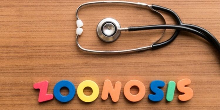 Penyakit Zoonosis Kala Pandemi di Musim Penghujan